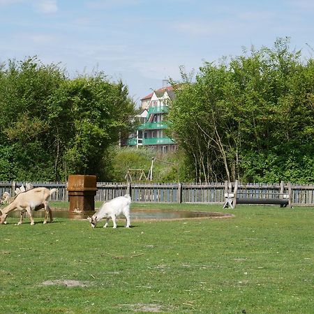 Huize De Duinen Aparthotel Bergen aan Zee Luaran gambar