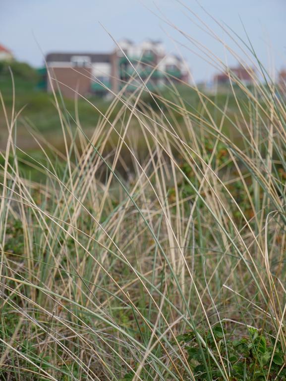 Huize De Duinen Aparthotel Bergen aan Zee Luaran gambar